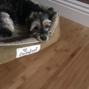 Meet your Posher, Nikki